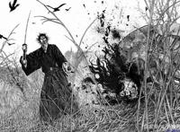 日漫改编中国四大名著，为何西游三国受追捧，水浒红楼无人问津？