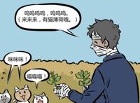 万圣街：桃子是只醉猫，没有“猫薄荷”的她跟咸鱼没什么区别？