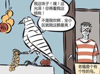 万圣街：宠物老福“多才多艺”，身为主人的阿布“自叹不如”？