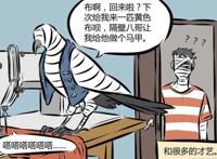 万圣街：宠物老福“多才多艺”，身为主人的阿布“自叹不如”？