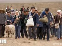 盘点上半年豆瓣高分剧：最后两部人气高口碑差！