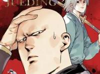 我变秃了也变强了，来谈谈动漫界那些“绝顶”高手