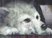 盘点十部主角转世重生后，仍保留着前世记忆的动画