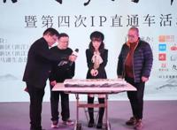 方兴未艾，中国网络作家村三年记