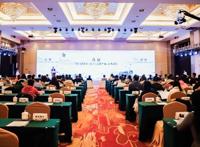 方兴未艾，中国网络作家村三年记