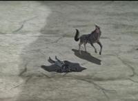 《三国演义最强武将传》怒打督邮，更大的发挥，更好的兄弟