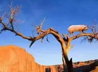 它是刷新认知的神奇漫画，能够打破第四面墙！人物能“穿越”纸张