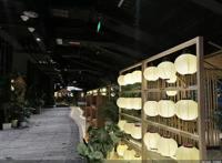 一座数字艺术馆的前世今生：文化IP新风潮