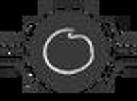 蔡志忠：最成功的人，是在最重要的时间，做最拿手的事，做到极致