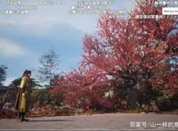 国漫到底有多良心？制作组专门重置动漫加戏，凡人修仙传太良心了