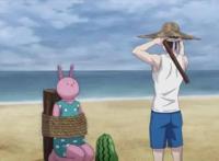 阴晴不定大哥哥：b站延后播出，在冬季，要拍夏季海滩外景怎么办？