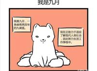 拥有强烈的中国色彩