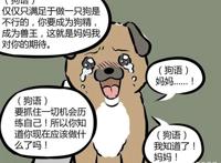 非人哉：你知道白泽的真实面貌吗？其实讨厌输！