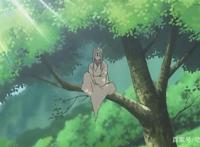 唯愿时光清浅，将你温柔以待！日本治愈神级动漫《夏目友人帐》！