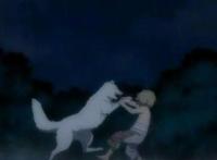 开局一个球，技能全靠仿——至不灭的你——动漫7星