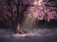 这一年国产动画只看它