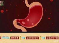 紧张焦虑，过量饮酒能导致胃溃疡？硬核动漫《胃溃疡的来历》