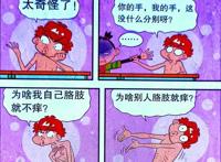 为何小衰的痒痒肉能“分辨敌我”？难道小衰的身体不一般？