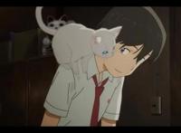 《想哭的我戴上了猫的面具》：“神经质”少女变猫后的追爱成长路