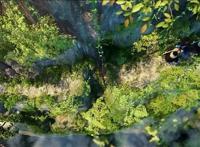 电影话题社020《豆福传》差一点就错过的良心国产动画电影