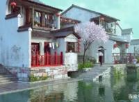 那些你没有看过的国产优秀动画短篇，第一个随手一截都是壁纸