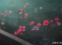 《馒头日记》：待价而沽的善良，流浪狗被收养，流浪小孩无人理睬