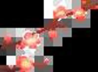 2021年1月总结、复盘及计划