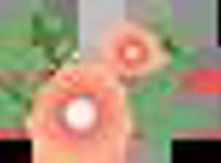 2021年1月总结、复盘及计划