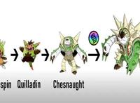 Mega进化的宝可梦们，甲贺忍蛙全副武装上阵，贵妇形象的花洁夫人