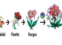 Mega进化的宝可梦们，甲贺忍蛙全副武装上阵，贵妇形象的花洁夫人