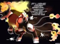 精灵宝可梦：再现神秘宝可梦，一体同心融合进化，酷炫的新形态！