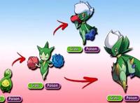 精灵宝可梦：民间大神的宝可梦，梦妖魔变绅士，哈克龙彩环傍身！