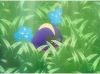 这些神奇宝贝拥有多种进化姿态，进化以后实力爆表！