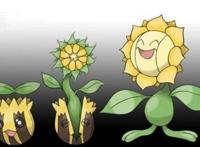 宝可梦进化过程，皮卡丘软萌，嘟嘟搞笑，看到快龙：不明觉厉！