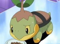 精灵宝可梦：第4、5代“御三家”初始及进化形态，还是最初的可爱