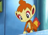 精灵宝可梦：第4、5代“御三家”初始及进化形态，还是最初的可爱