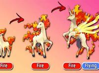 精灵宝可梦：新的进化已经出现，美纳斯华丽登场，烈焰马直接起飞