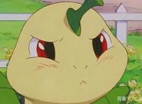 《精灵宝可梦》动画版，宝可梦进化后，会不会改变性格失去记忆？