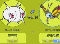 神奇宝贝：盘点那些需要脱蛹的精灵，最后一只脱蛹后实力媲美神兽