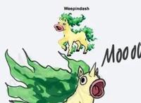 当神奇宝贝学会了融合进化，妙蛙种子和火恐龙融合后有点帅！