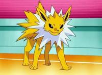 伊布的八种进化形态，水伊布乖巧可爱，仙子伊布美若天仙