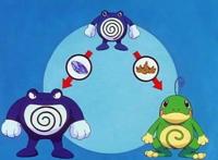 精灵宝可梦：这些宝可梦拥有多种进化型，目前最高达到八种