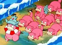 精灵宝可梦：这些宝可梦拥有多种进化型，目前最高达到八种