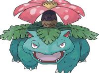 精灵宝可梦：妙蛙种子、小火龙、杰尼龟、绿毛虫、独角虫进化大全