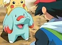 小智的地面系神奇宝贝，一只是爱哭鬼，还有一只最终进化却是炮灰