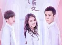 刘德华徐静蕾入局网剧，2018年Q2网剧还有哪些新举措？