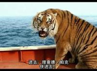 《少年派的奇幻漂流》值得一看的一部电影