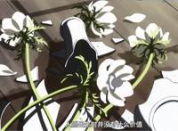 漂流少年：人心不足蛇吞象（下）