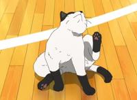 《漂流少年》演出解说：基本原则与灵活使用