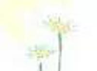 有福利！这个五一，我就在广州不走了~